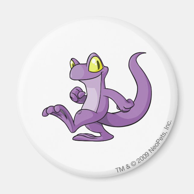 Aimant Techo Purple (Devant)