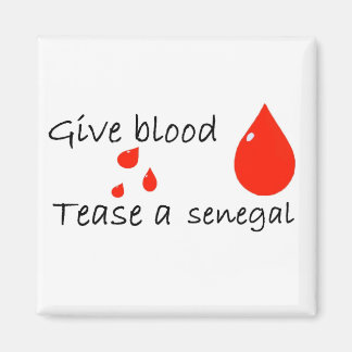 Aimant Tee a senegal