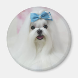 Aimant Télécharger Photo de Chien Mignon Adorable