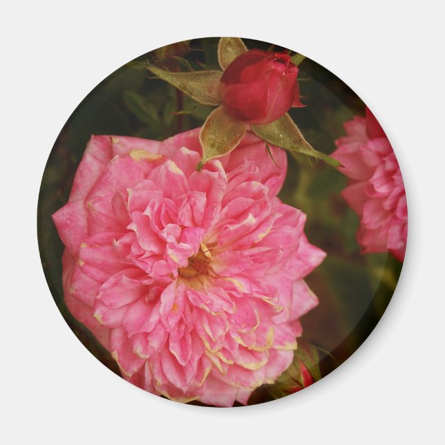 Aimant Temps passé (Devant)