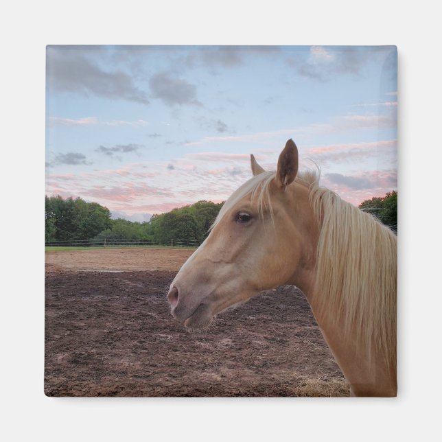 Aimant Tennessee Walking Horse (Devant)