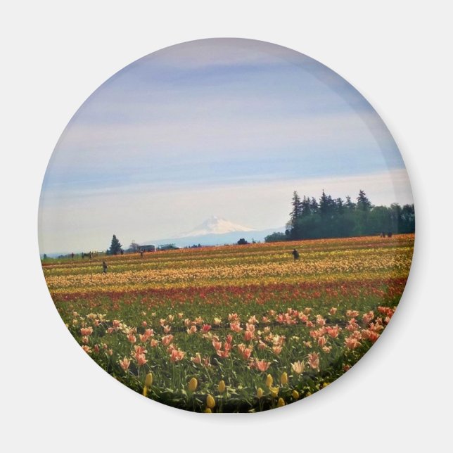 Aimant Terrain de tulipe avec Mt Hood, Oregon (Devant)