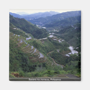 Aimant Terrasses de riz de banane, Philippines