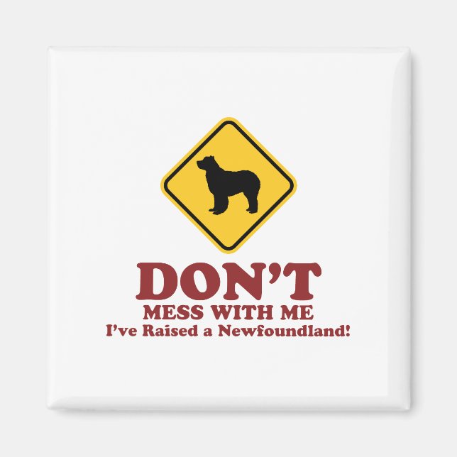 Aimant Terre (Devant)