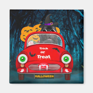 Aimant Terre-Neuve Chien voiture effrayant Halloween