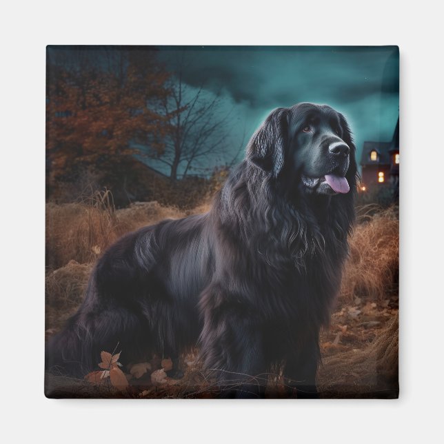 Aimant Terre-Neuve Halloween (Devant)