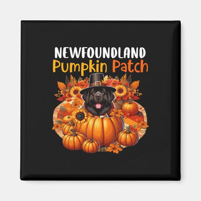 Aimant Terre-Neuve Maigre Patch Thanksgiving Citrouilles  (Devant)