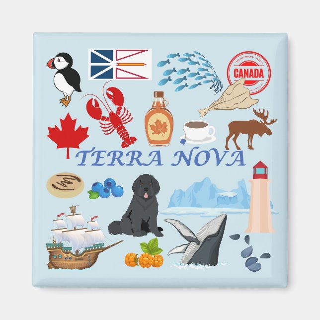 Aimant Terre-Neuve Terre-Neuve (Devant)