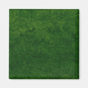 Aimant Terre verte