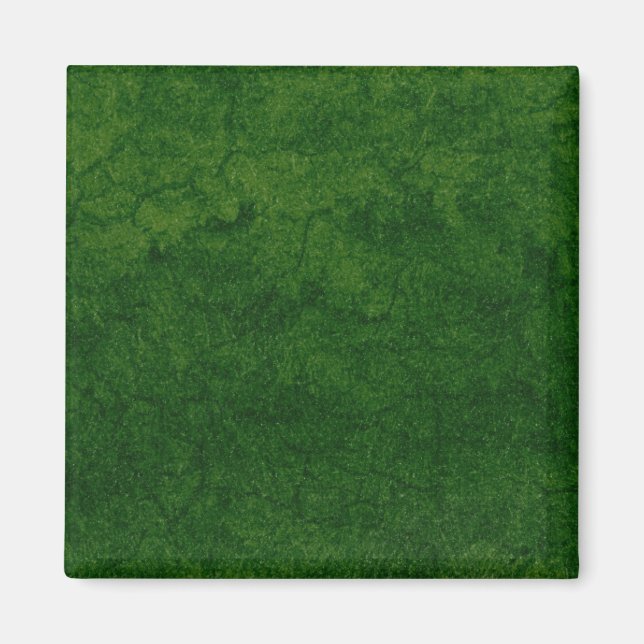 Aimant Terre verte (Devant)