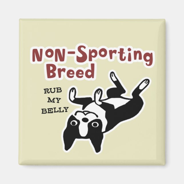 Aimant Terrier de Boston "Race non sportive" (Devant)