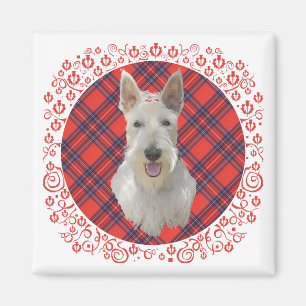 Aimant Terrier écossais roux sur tartan