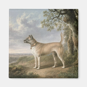 Aimant Terrier sur un chemin dans un paysage boisé