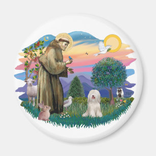 Aimant Terrier tibétain (blanc)