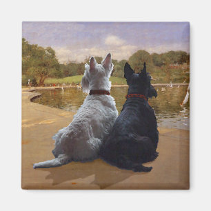 Aimant Terriers écossais roux et noirs