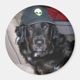 AIMANT TESLA LE CHIEN ALIEN