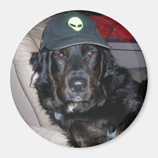 AIMANT TESLA LE CHIEN ALIEN (Devant)