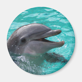 Aimant Tête de dauphin en eau aquamarine