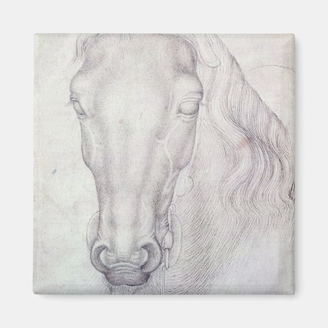 Aimant Tête d'un cheval (Devant)