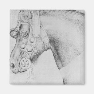 Aimant Tête d'un cheval, le de l'album de Vallardi