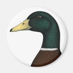Aimant Tête Mallard Drake