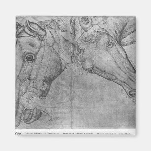 Aimant Têtes des chevaux, le de l'album de Vallardi