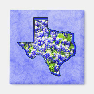 AIMANT TEXAS BLUEBONNETS