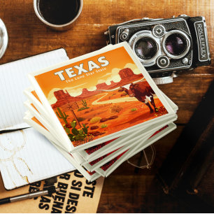 Aimant Texas vintage