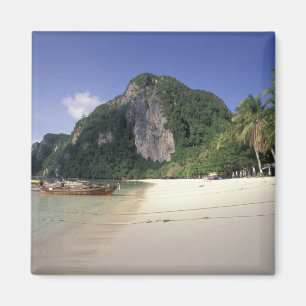 Aimant Thaïlande, mer d'Andaman, île de Ko Phi Phi, pla