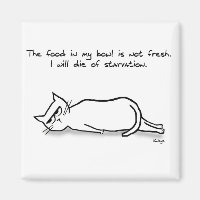 The Cat Demands Fresh Food - Funny Cat
