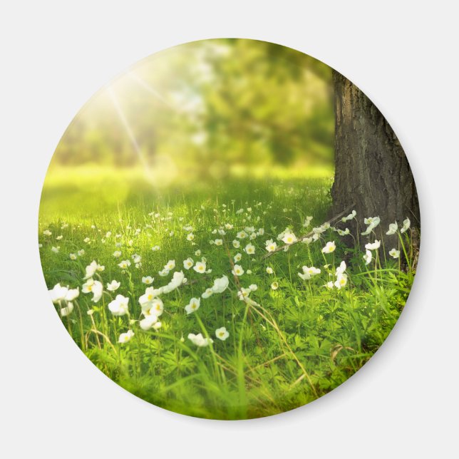 Aimant The Joys of Spring (Devant)