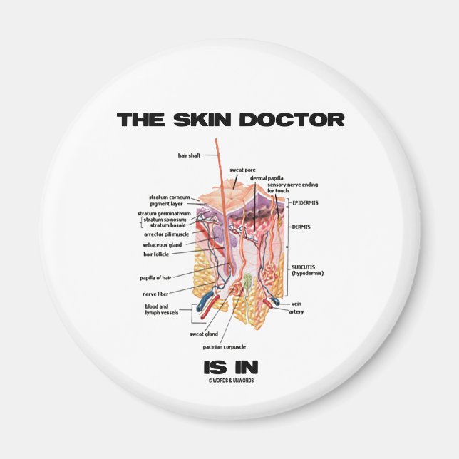 Aimant The Skin Doctor Is In (Dermatology Attitude) (Devant)