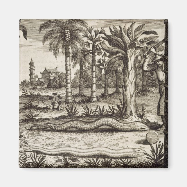 Aimant The Stone Snake, from 'China Illustrated' by Athan (Devant)