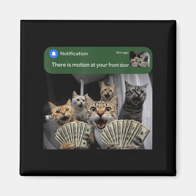 Aimant There is motion at front door funny cat motion mem (Devant)