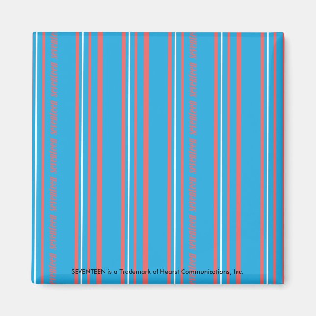 Aimant Thin Stripes Aqua (Devant)