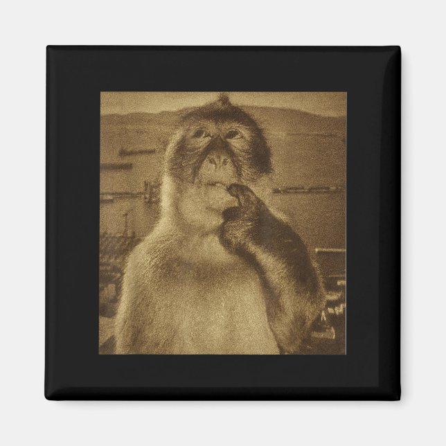 Aimant Thinking Monkey Meme Vintage Retro  (Devant)