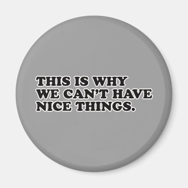 Aimant This Is Why We Can't Have Nice Things (Devant)