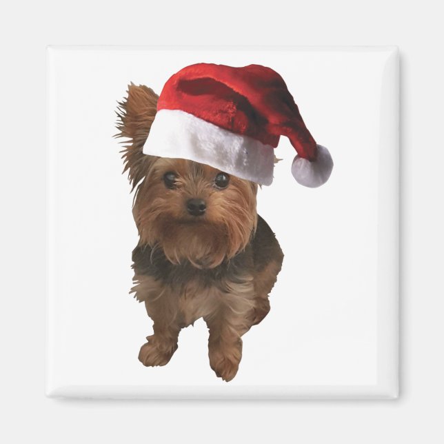 Aimant thumbnail_Santa Hat Yorkie (Devant)