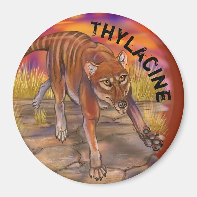 Aimant Thylacine (Devant)