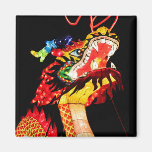 Aimant Tianlong Dragon