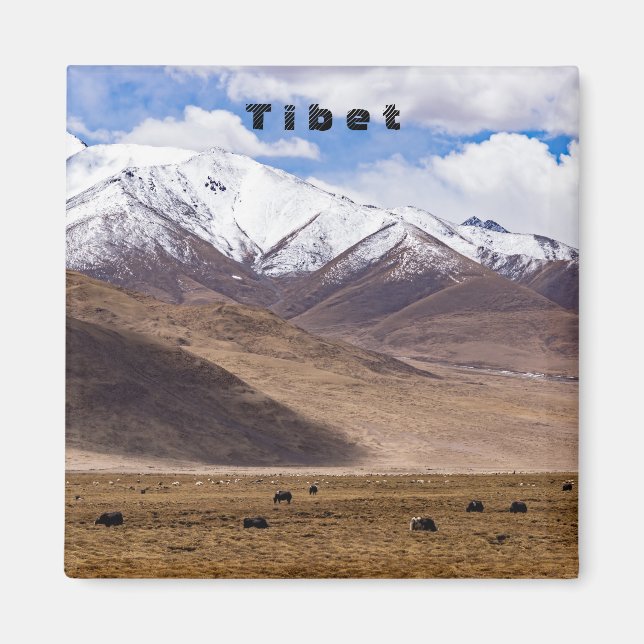Aimant Tibet - Paysage de montagne avec yaks (Devant)