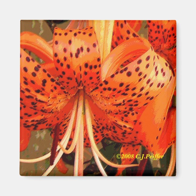 Aimant 'Tiger Lily' (Devant)