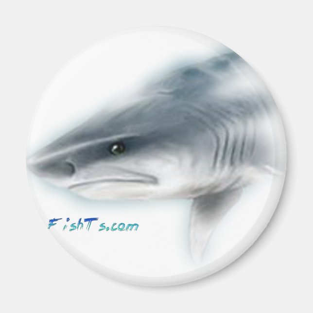 Aimant Tiger Tiger Shark Head (Devant)