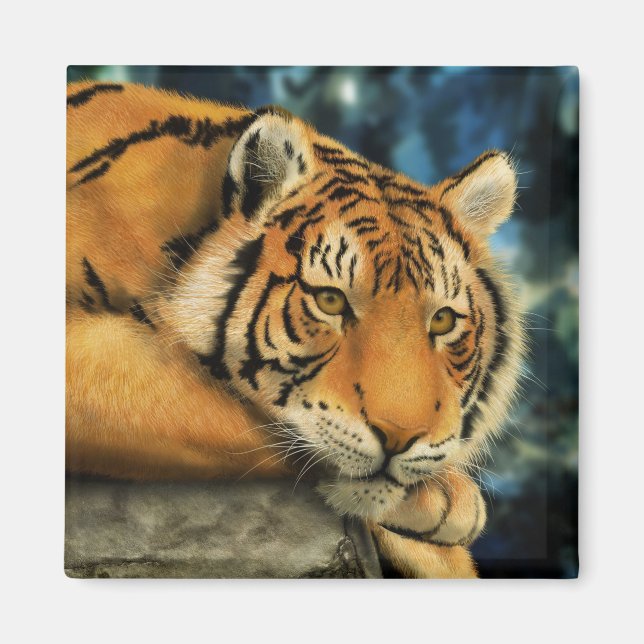 Aimant Tigre (Devant)