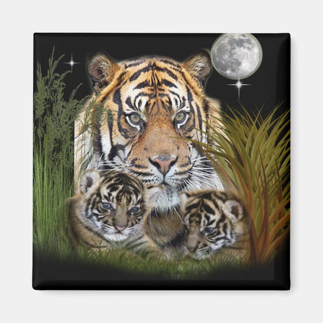Aimant Tigre (Devant)