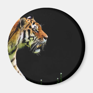Aimant Tigre approchant - Oeuvres d'art d'animaux sauvage