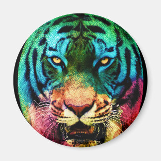 Aimant Tigre arc-en-ciel