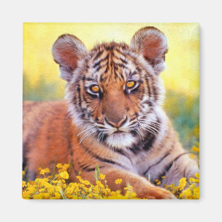 Aimant Tigre Baby Cub