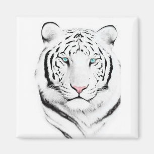 Aimant Tigre blanc sibérien