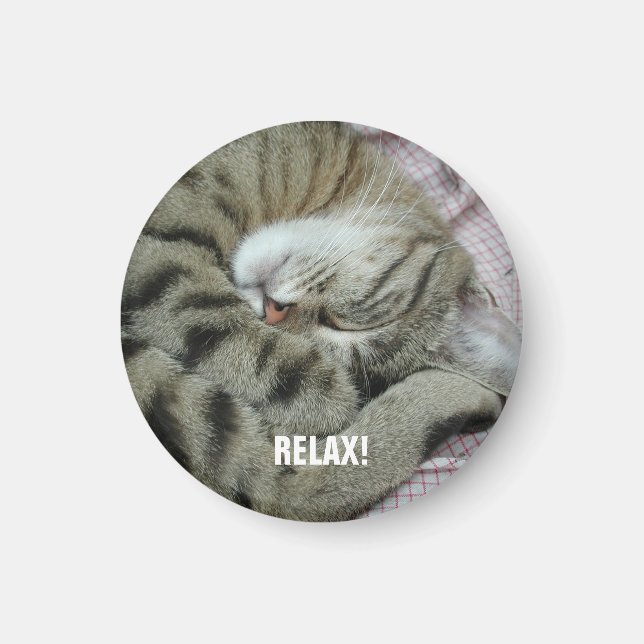 Aimant Tigre-chat couché (Devant)